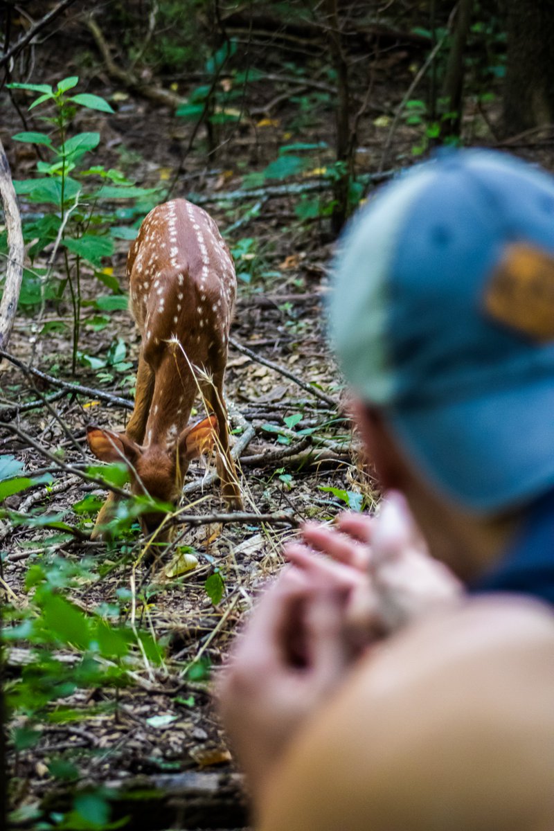 In honor of #WorldPhotographyDay2025 here is some of my other "non storm" photography I have done!