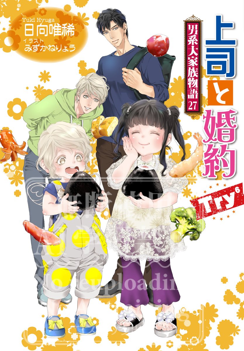 BL小説33冊セット プラチナ文庫 セシル文庫 ディアプラス文庫他 BL小説33冊セット プラチナ文庫 セシル文庫 ディアプラス文庫他