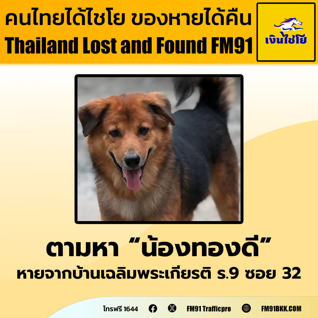 คุณปอย ฝากตามหา "น้องทองดี" สุนัขพันธุ์ไทยเพศผู้ อายุประมาณ 5 ปี สีน้ำตาลดำ ปลอกคอสีแดง หายจาก บ้านแถว ซอยเฉลิมพระเกียรติ ร.9 ซอย 32 หายวันที่ 18 ช่วงเวลา 23.00 น้องเริ่มออกจากบ้าน และเดินมุ่งหน้าถนนใหญ่ 

เวลาประมาณ 00.00 น. หลังจากนั้นได้ข่าวตามหาน้องทางโซเชียล มีคนพบเห็นล่าสุด