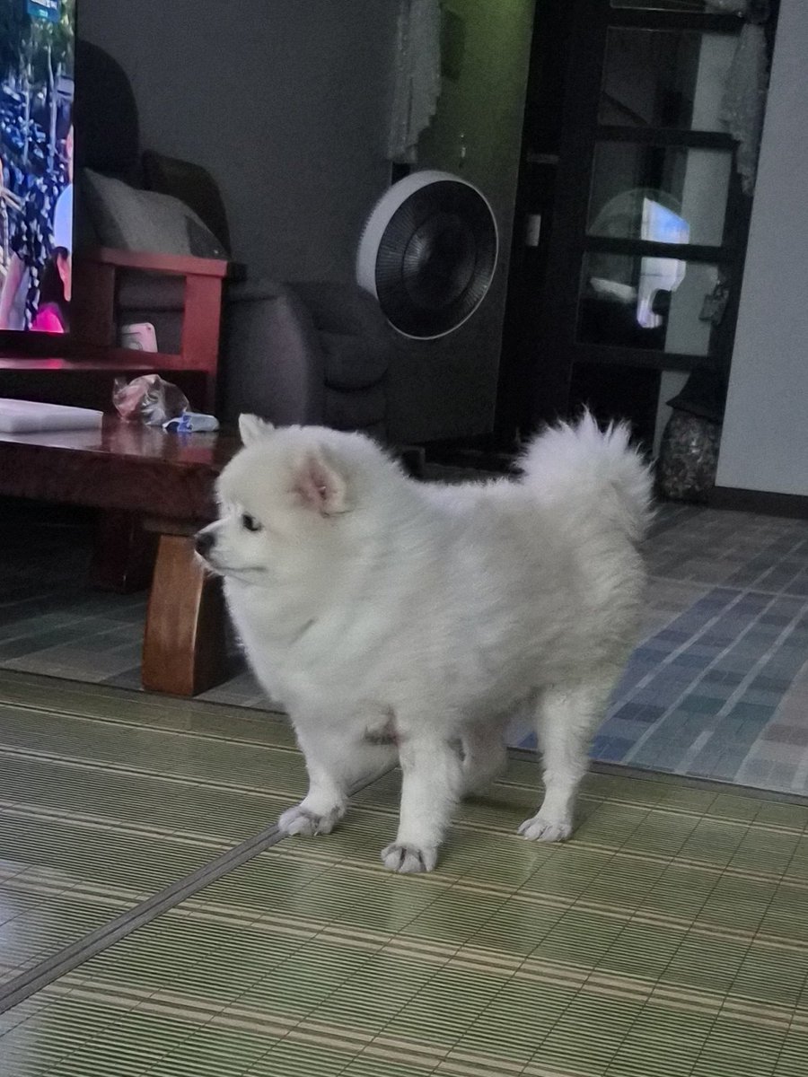 아 넘 멋지다