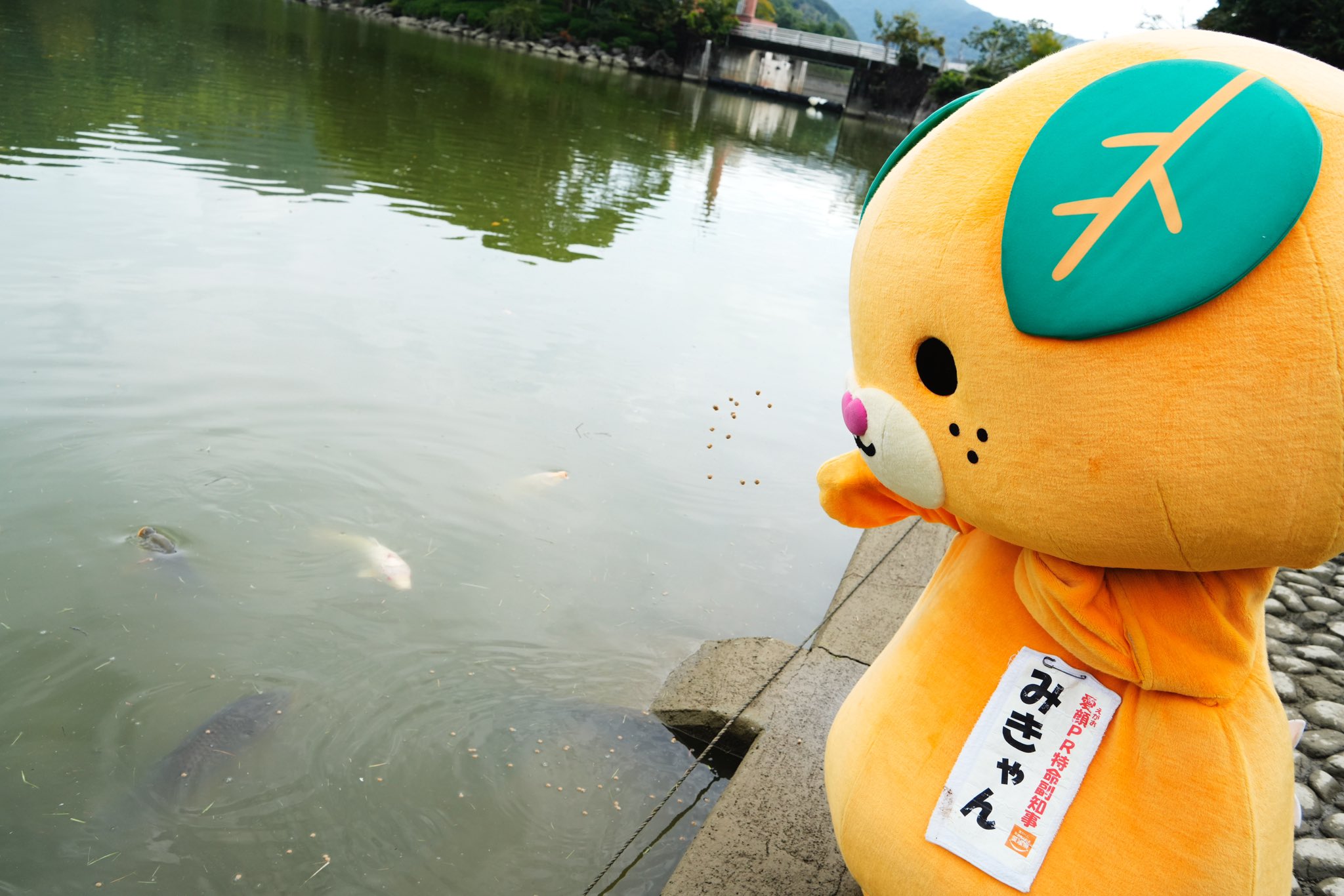 みきゃん様 みきゃんのプロフィール - みきゃんのかんづめ - 愛媛県庁公式