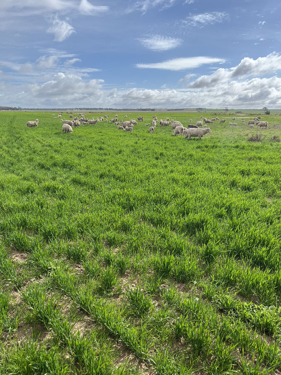 Feed on the move!🌱