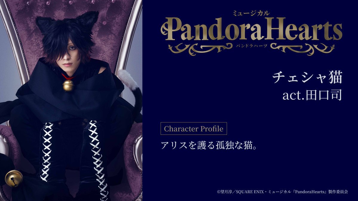 本日はチェシャ猫の紹介ですฅ^•ω•^ฅ