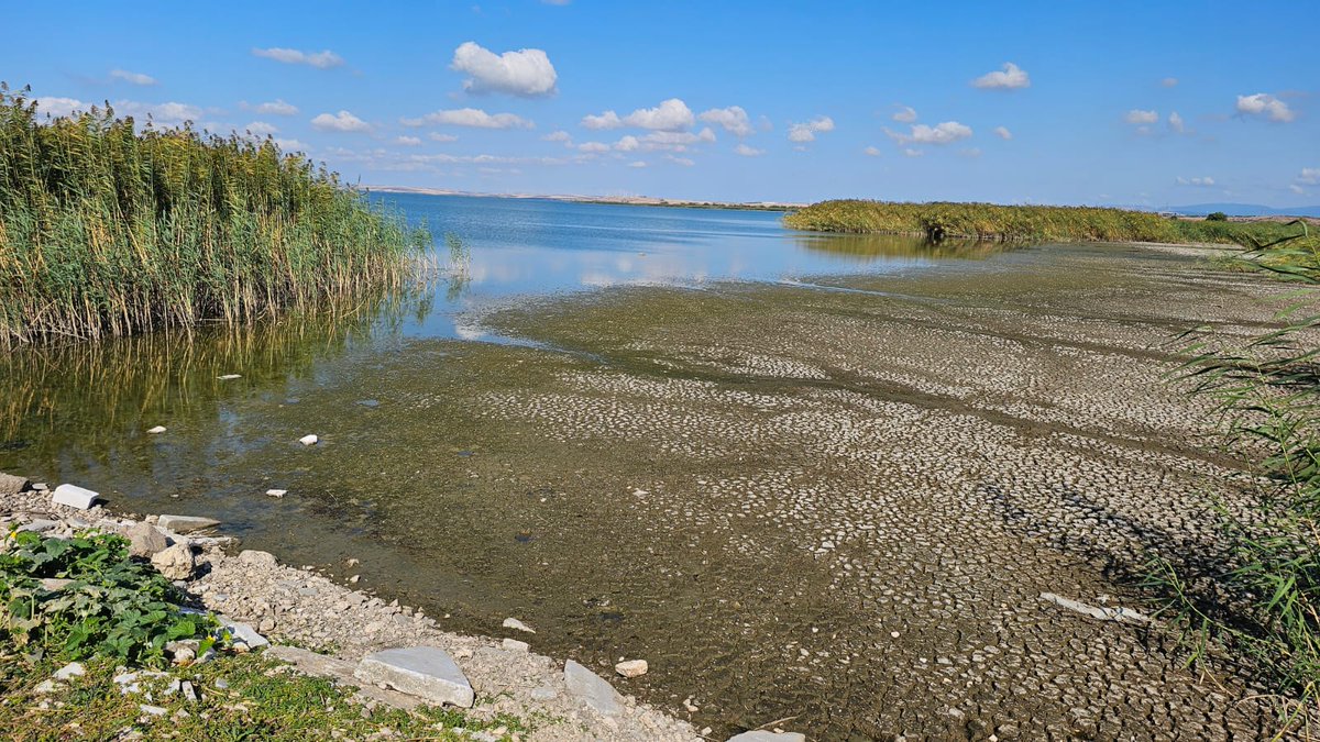 Aşırı su çekimi ve kuraklık nedeniyle Manyas Gölü yüzlerce metre çekilmiş. Göl iyice sığlaşmış durumda.

Su seviyesinin oldukça düştüğü bu aylarda balıklar dar bir alanı kullanırlar. Bu dönemde Balıkçılık ve Su Ürünleri Genel Müd.'nün avcılığı çok sıkı denetlemesi gerekiyor.