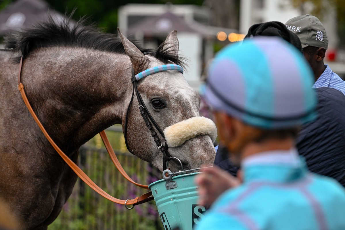 WHAT'S IN A NAME: ROLAND GARROS

When Roland Garros, a smart colt trained by Justin Snaith, won for a second time in just three starts in June you’d have to also wonder who the tennis fan was in naming the handsome grey.

Read the full article:
capeturfclub.co.za/whats-in-a-nam…