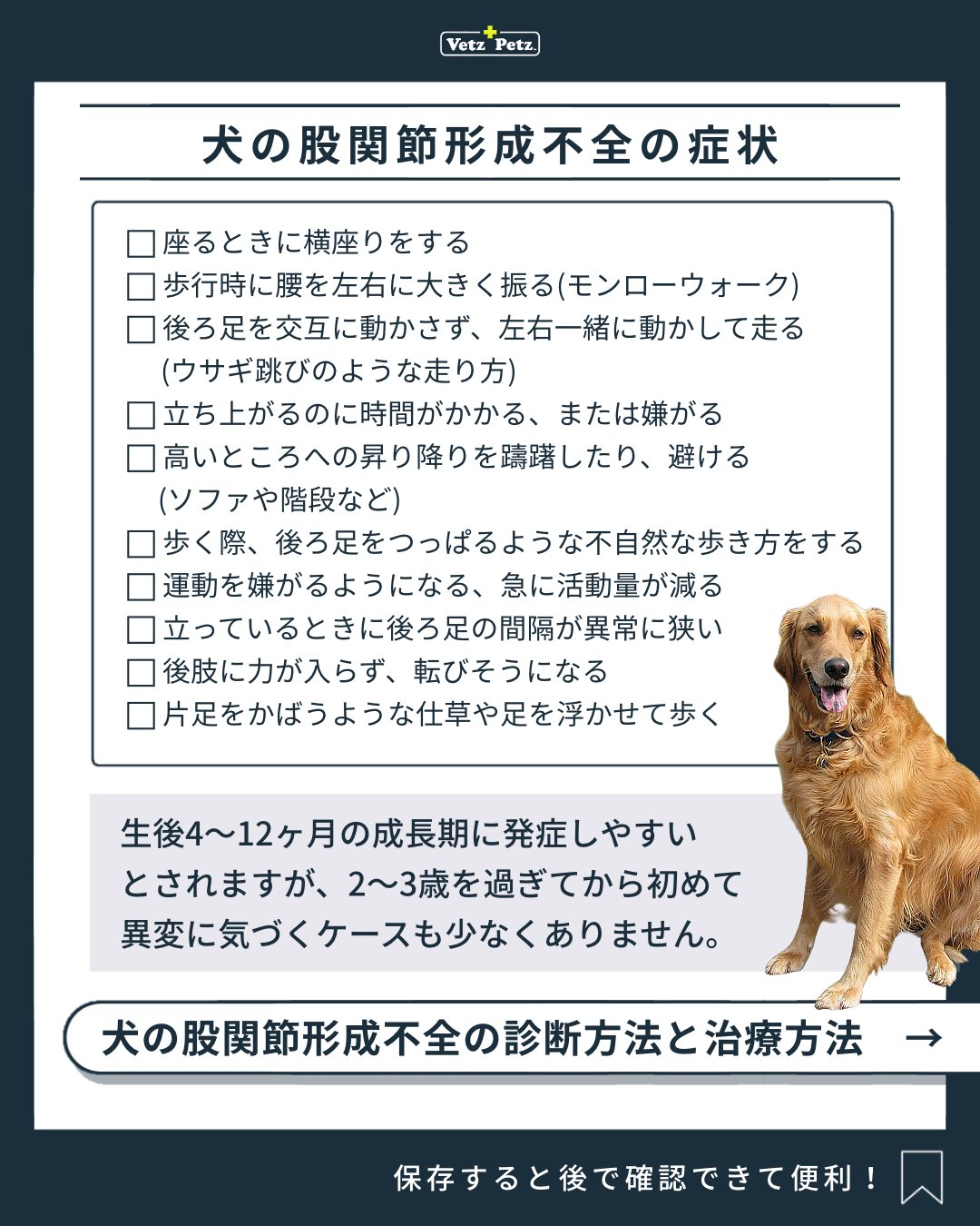 アンチノール➕ アンチノール | 動物病院取扱いNo1サプリメント– ベッツペッツ