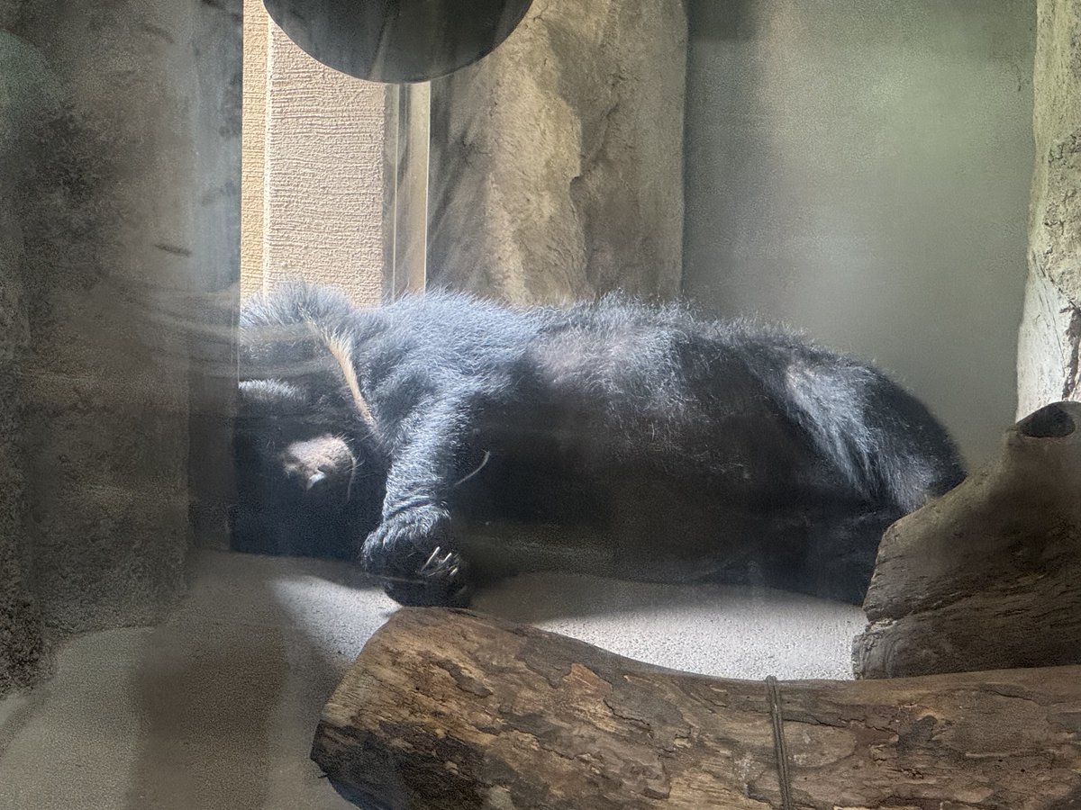 みんな暑くて溶けてた