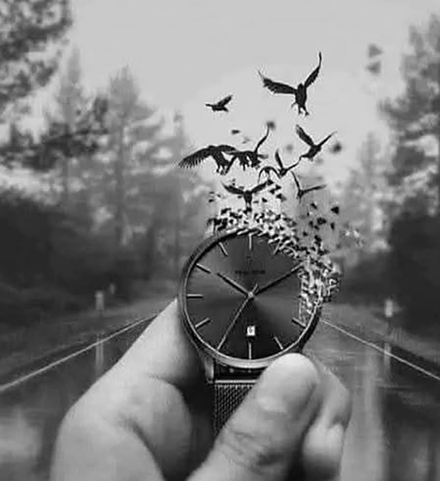 هُناك يوم يمر على الإنسان كأنه سنة،
 وآخر يمر عليه كأنه ساعة، 
كلاهما يوم ولكن بمشاعر مُختلفة !👌🏻
🤍🌻