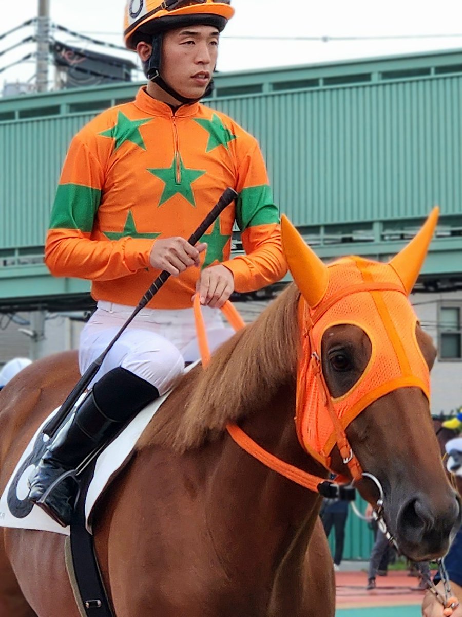 浦和6R
#ニンゲンテイイナ
#室陽一朗 騎手
#宇野木博徳厩舎
#浦和競馬
ウマハカワイイナ🐴