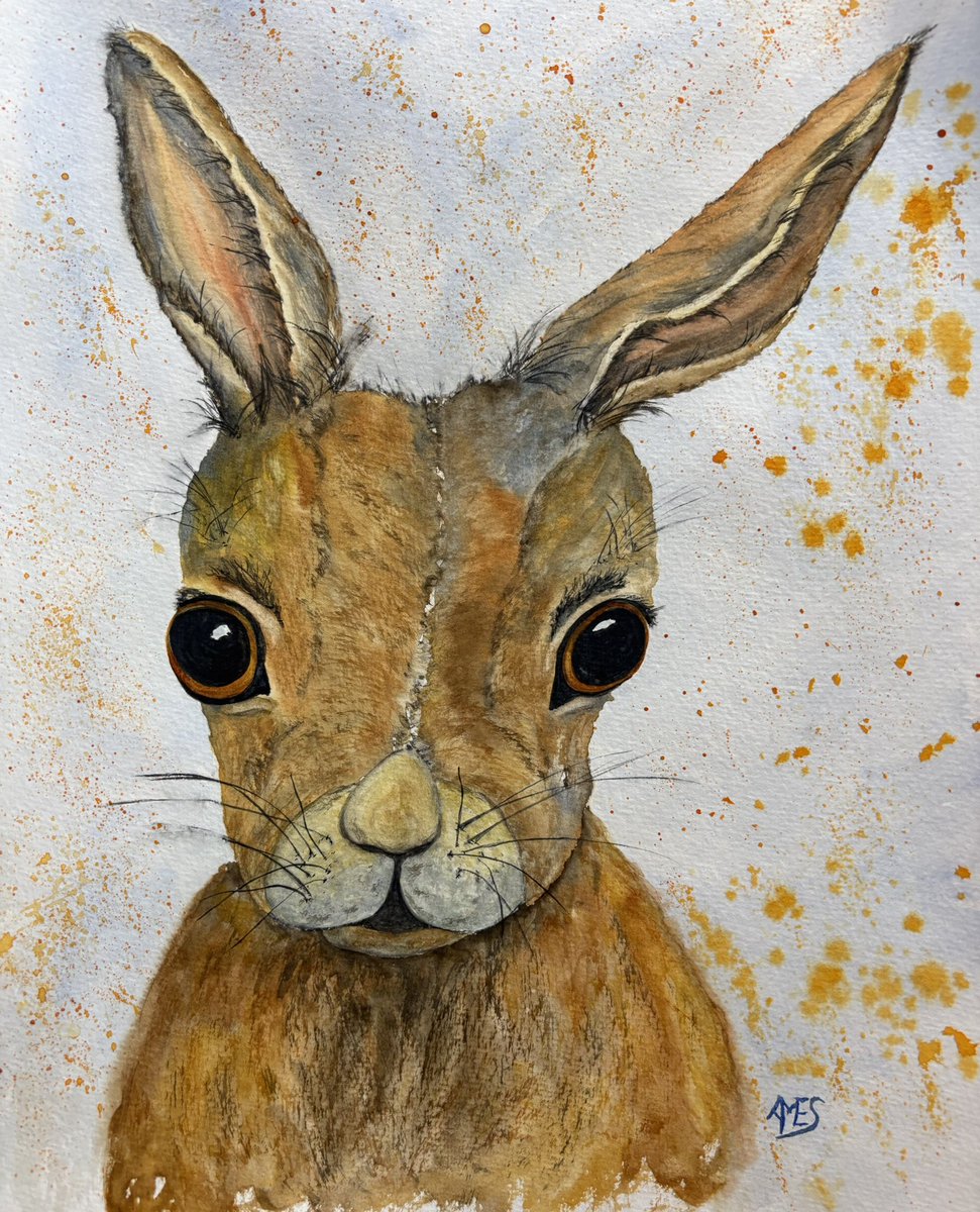 Happy hump day, this should make you smile 😊