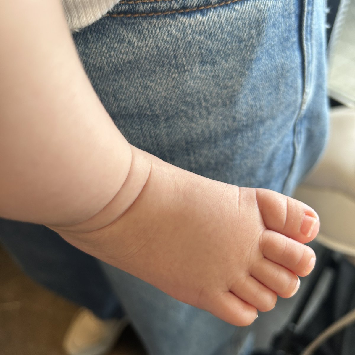 やっと友人のベイビーと会えました👶💕
8ヶ月のむちむち御御足…🥐

お母ちゃん、本当に大変なことばかりだろうし、心が疲弊してしまうこともあるだろうけど、やっぱり子供と向かい合ってニコニコしている姿をみると幸せそうだなあと🥰

ライフステージが違ってもこうやって会ってくれる友人に感謝🫶