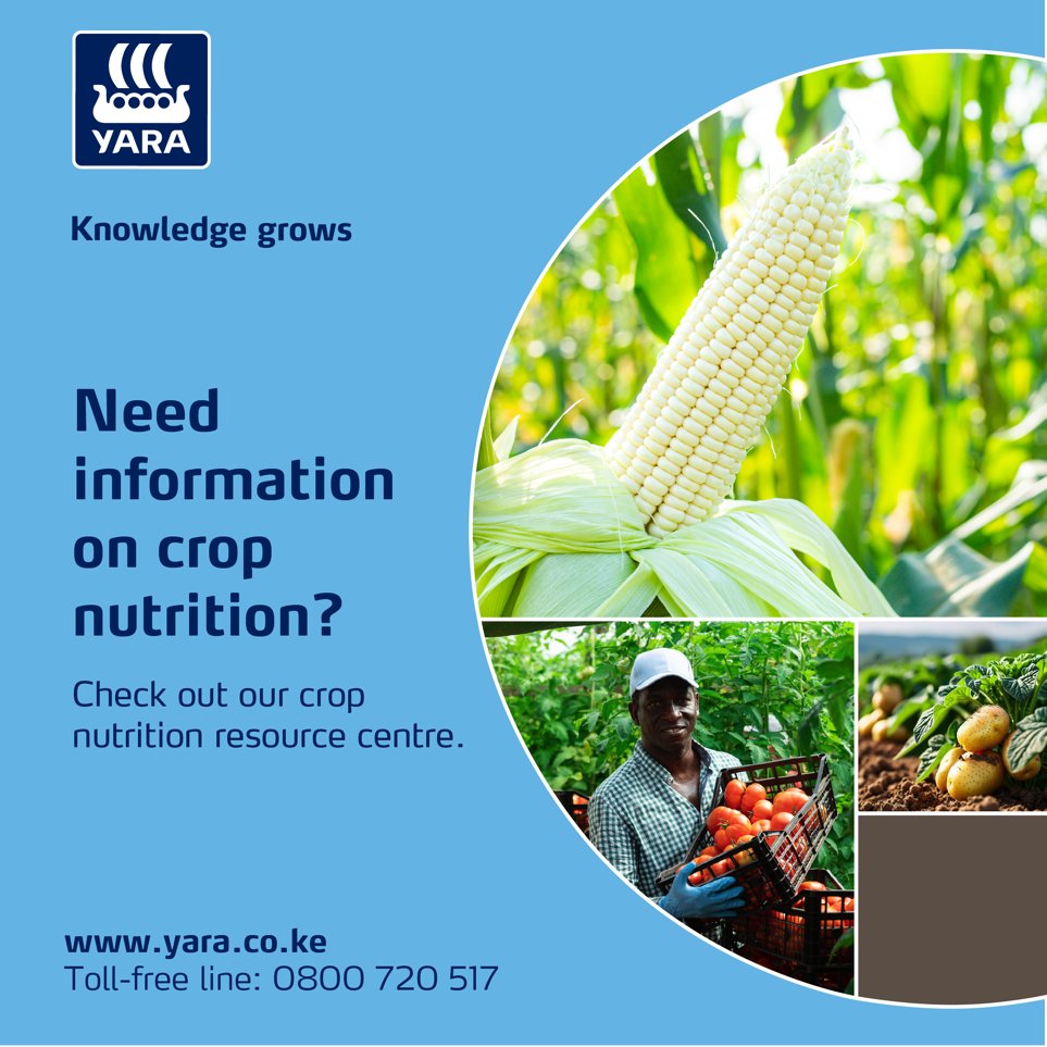 From maize to tomatoes, or onions to potatoes, every crop has unique needs.
Visit our crop nutrition information hub to access expert guidance on how to boost yields, prevent deficiencies and grow healthier, more resilient crops.
yara.co.ke/crop-nutrition…
#MboleaNiYara