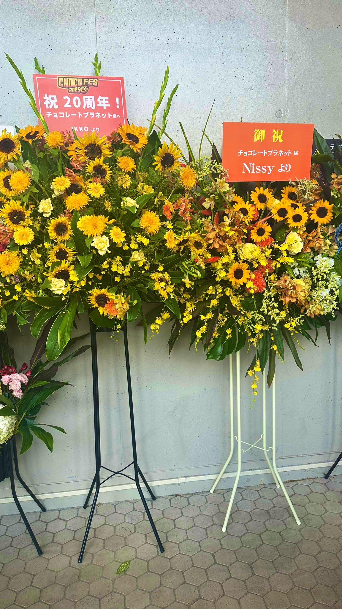 fumi*˙˘˙)‥₂₄( 'Θ' ) Nissy_HOCUSPOCUS4🪄🎩 (@t23_1) / X