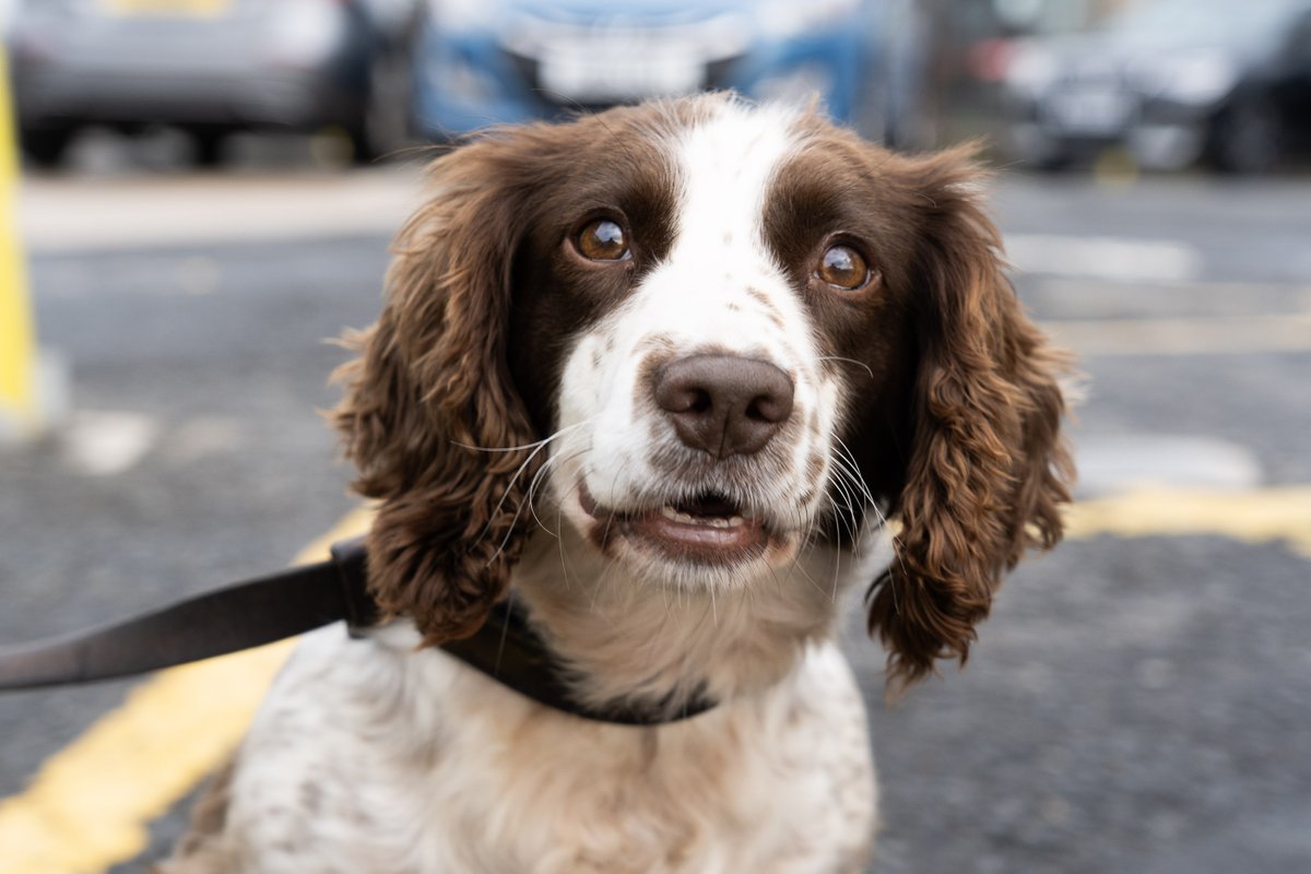 Good luck to all our cadets picking up their GCSE results today🤞

We, and PD Sam, hope you all get the results you've worked so hard for 🎉

Please remember your grades don't define you nor do they define your future, even if you don't get the grades you wanted
#ResultsDay2025
