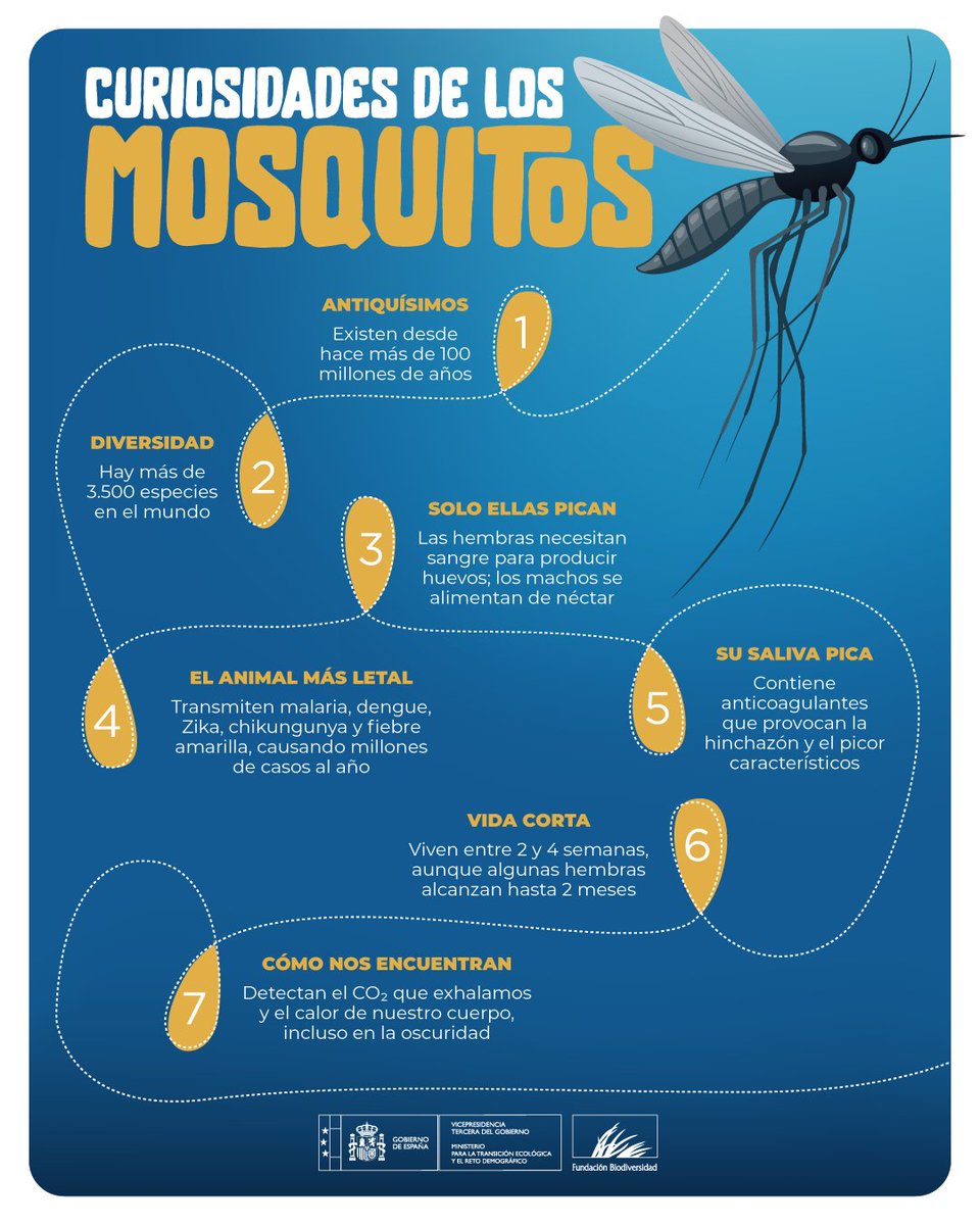 🏞️ Un ecosistema sano regula poblaciones de mosquitos 🦟 de forma natural. 

Cuando alteramos humedales o eliminamos depredadores, rompemos ese equilibrio y favorecemos su expansión. 

La biodiversidad es nuestra mejor aliada 💚

#DíaMundialDelMosquito
