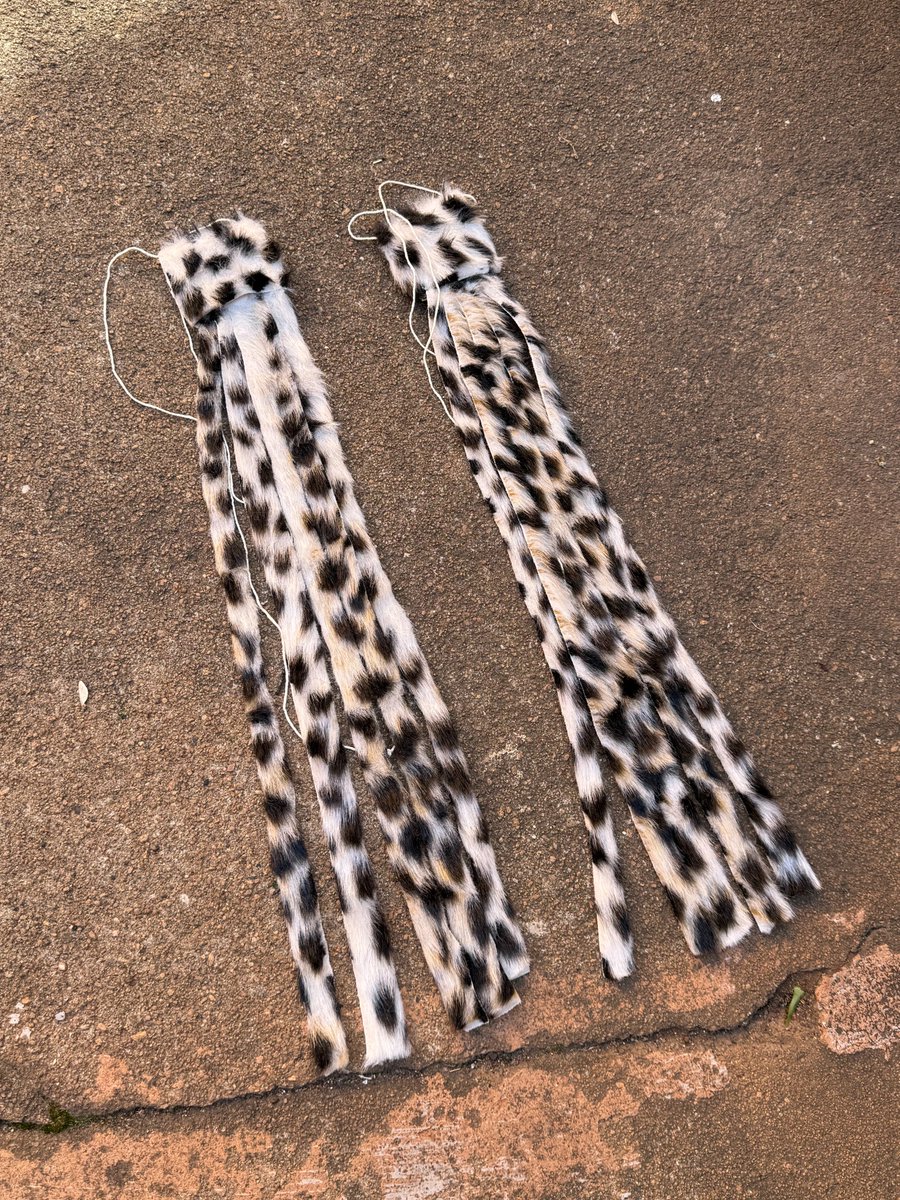 SMankentshane's tweet image. Nansi injobo yendwangu madoda!

Iyafana nengululue 🐆 but azona iskhumba yindwangu enhle ifanisa isikhumba R600 zi-2

Ngithinthe ngoWhatsapp 0673943002

#imvunulo #zulutraditional #izinjobo #injobo #zulu #isintu #traditionalwear #zuluattire #traditionalattire #traditionalafrican