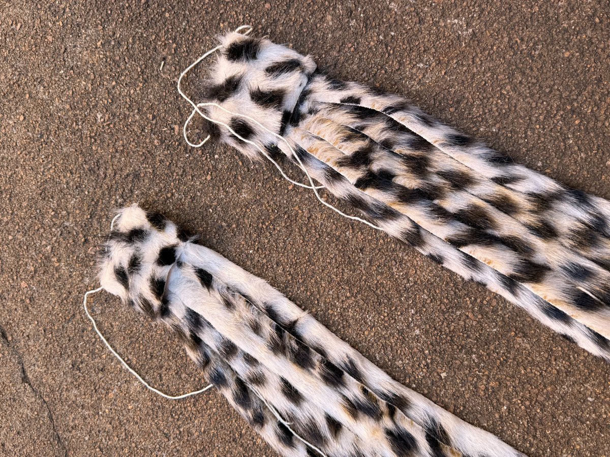 SMankentshane's tweet image. Nansi injobo yendwangu madoda!

Iyafana nengululue 🐆 but azona iskhumba yindwangu enhle ifanisa isikhumba R600 zi-2

Ngithinthe ngoWhatsapp 0673943002

#imvunulo #zulutraditional #izinjobo #injobo #zulu #isintu #traditionalwear #zuluattire #traditionalattire #traditionalafrican