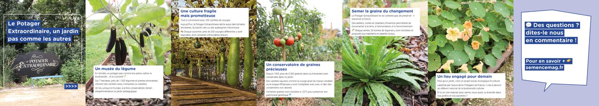 🌿 En Vendée, le Potager Extraordinaire préserve plus de 3 000 graines grâce à l’engagement de 80 bénévoles, d’agriculteurs et de partenaires locaux.
Un conservatoire vivant au service de la biodiversité cultivée.

#Semences #Conservation #SemaeOuest