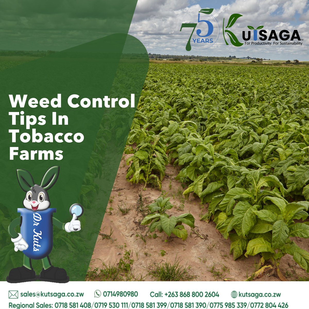 Kutsaga Research tweet media