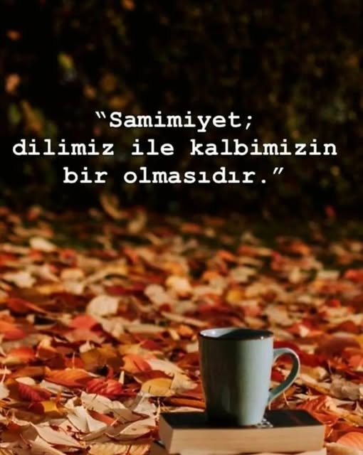 alp (@alp_all) on Twitter photo 