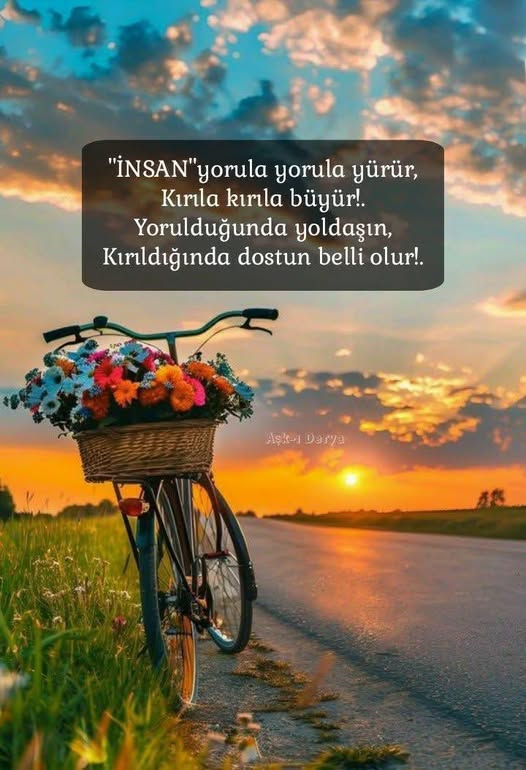 alp (@alp_all) on Twitter photo 