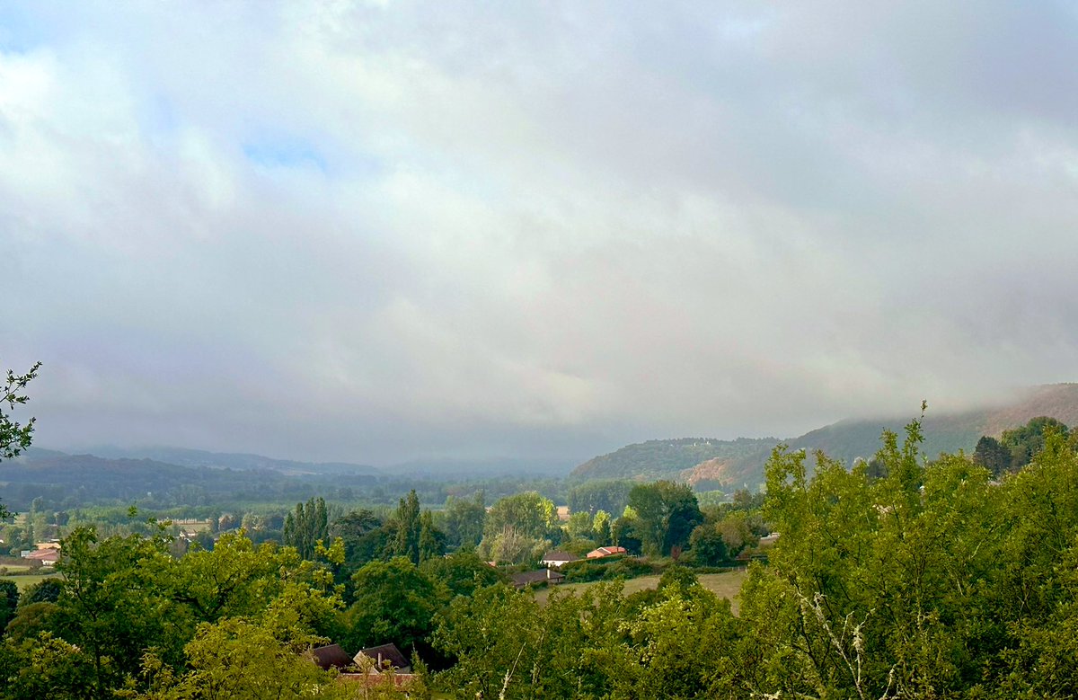 French mornings from our kitchen window 💛☕️