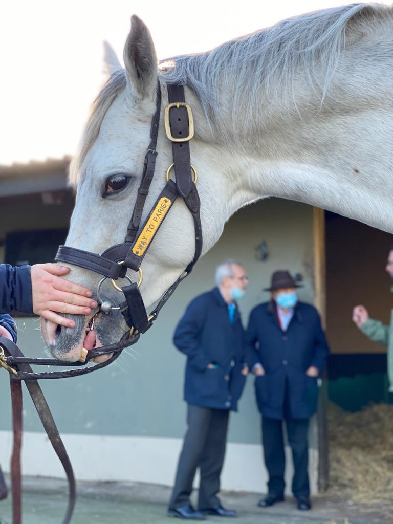 💔 It is with profound sadness that we acknowledge the passing of Paolo Ferrario, the esteemed owner of our Gr.1 winning Way To Paris. He was a true gentleman of the sport, and his contributions to Horseracing &amp; Breeding will be long remembered. May he rest in eternal peace