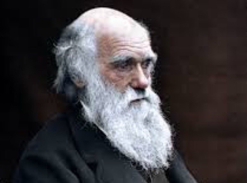 20 August 1858. Charles Darwin published his theory of evolution through natural selection in a paper in the Journal of Proceedings of the Linnean Society. Darwin decided to publish his theory after he received an essay from Alfred Russel Wallace which contained similar ideas.