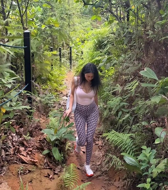 上山找菌子需要注意点什么？