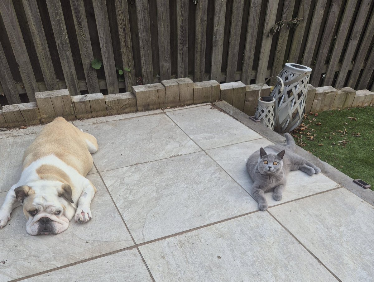 Wednesdays are for lazing around.