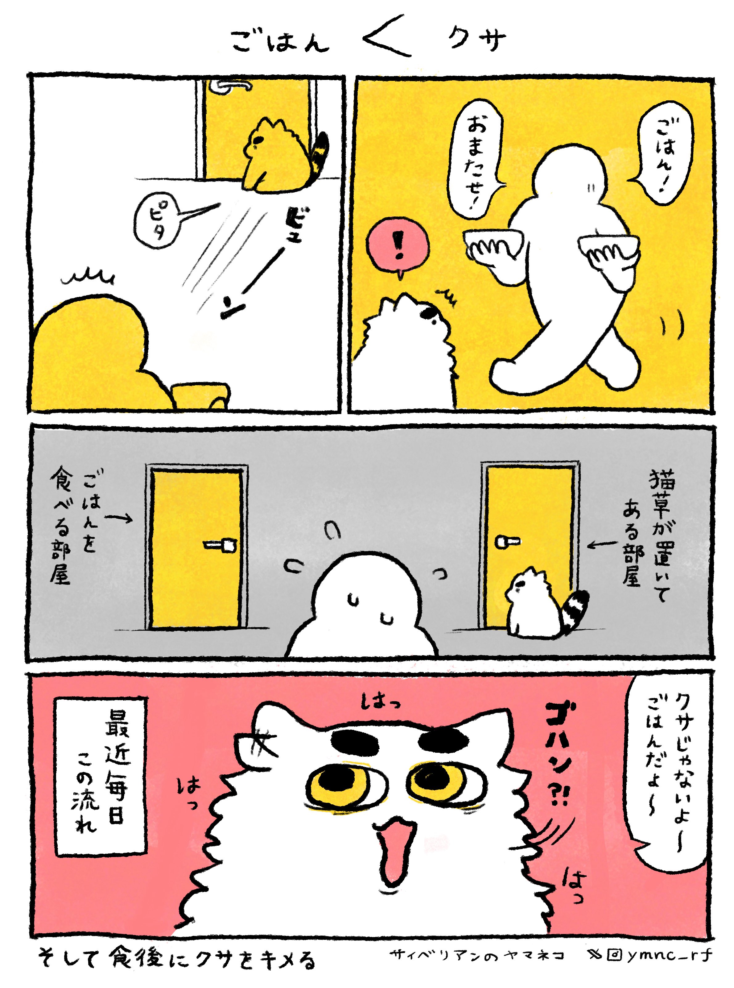 やまねこページ 91Z-23yn2oL._UF350,350_QL50_.jpg