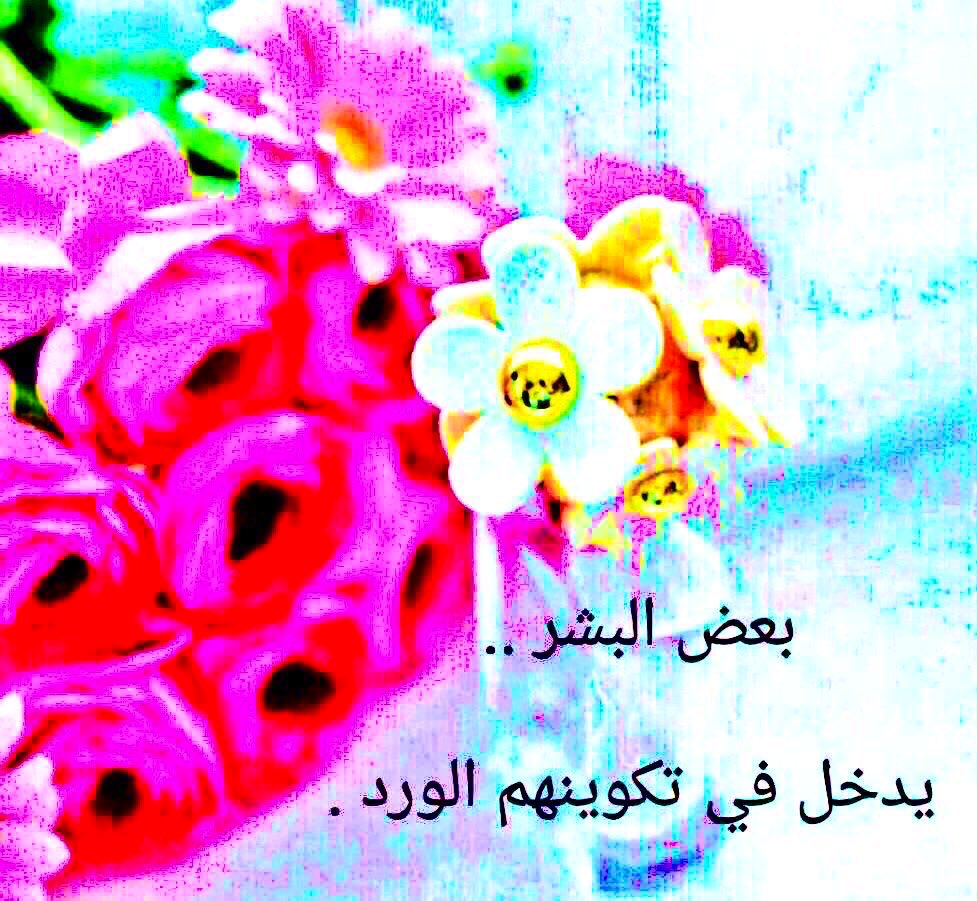 صبحه قلبي صباح بابيات شعر موزونه
يرسم ملامح وجه الغلا بحروف الاشعار
اقول كني  اشوف فرحة بلمحة عيوونه
وليف الروح موالف القلب والهوى سار
الوفا بذاالزين وعلوم الطيب مضمونه
والبشايربوجه الضحى واشراقةالاسفار
وطبع الحبيب مودةبينه من  شجوونه
واحساس قلبي من فزته بحلو الاخبااار
#تدل_دربها
