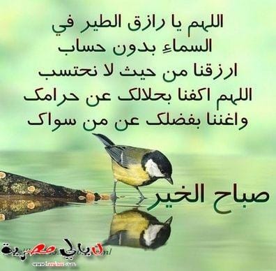 السلام عليكم ورحمة الله وبركاته. 
 ومن حيث لا تعلم،تجد أن
 الأمر الذي كرهت حدوثه
صار مفتاحًا لما تحب، وتلك
العثرة التي أوجعتك أخذتك
 إلى آفاق رحبة لم تكن
 لتسلكها، وذلك الألم الذي
 أنهكك كان لك خير مُعلّم
 وأهداك الحكمة الثمينة؛ 
لتدرك أن العطاء قد يأتي
 على شكل ابتلاء، وأن 
لُطف
