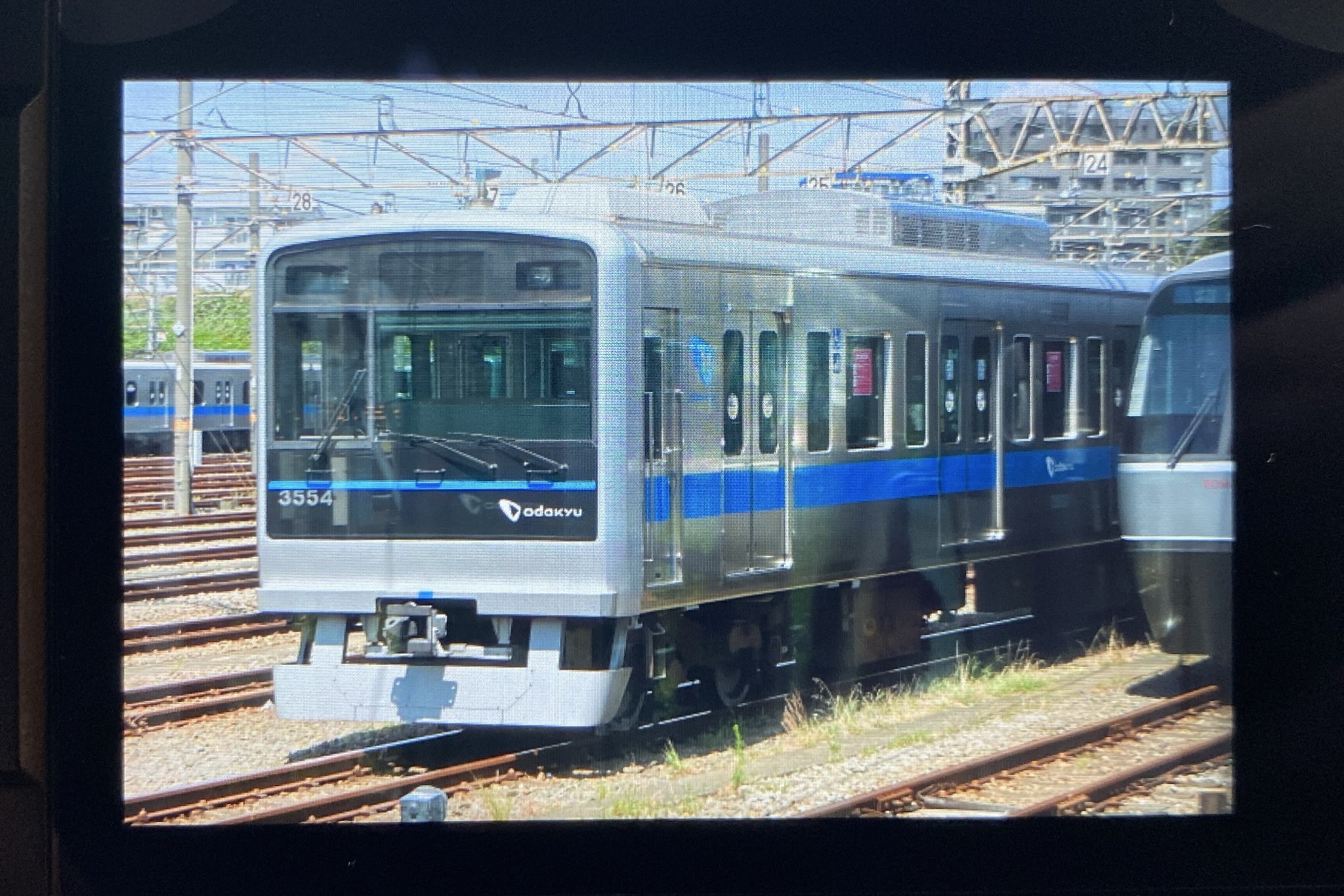 たまご (@tamago_215) / X