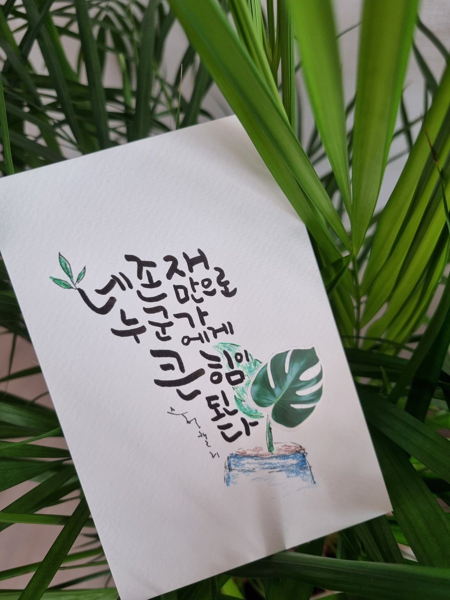 DNT빨간머리앤 tweet media