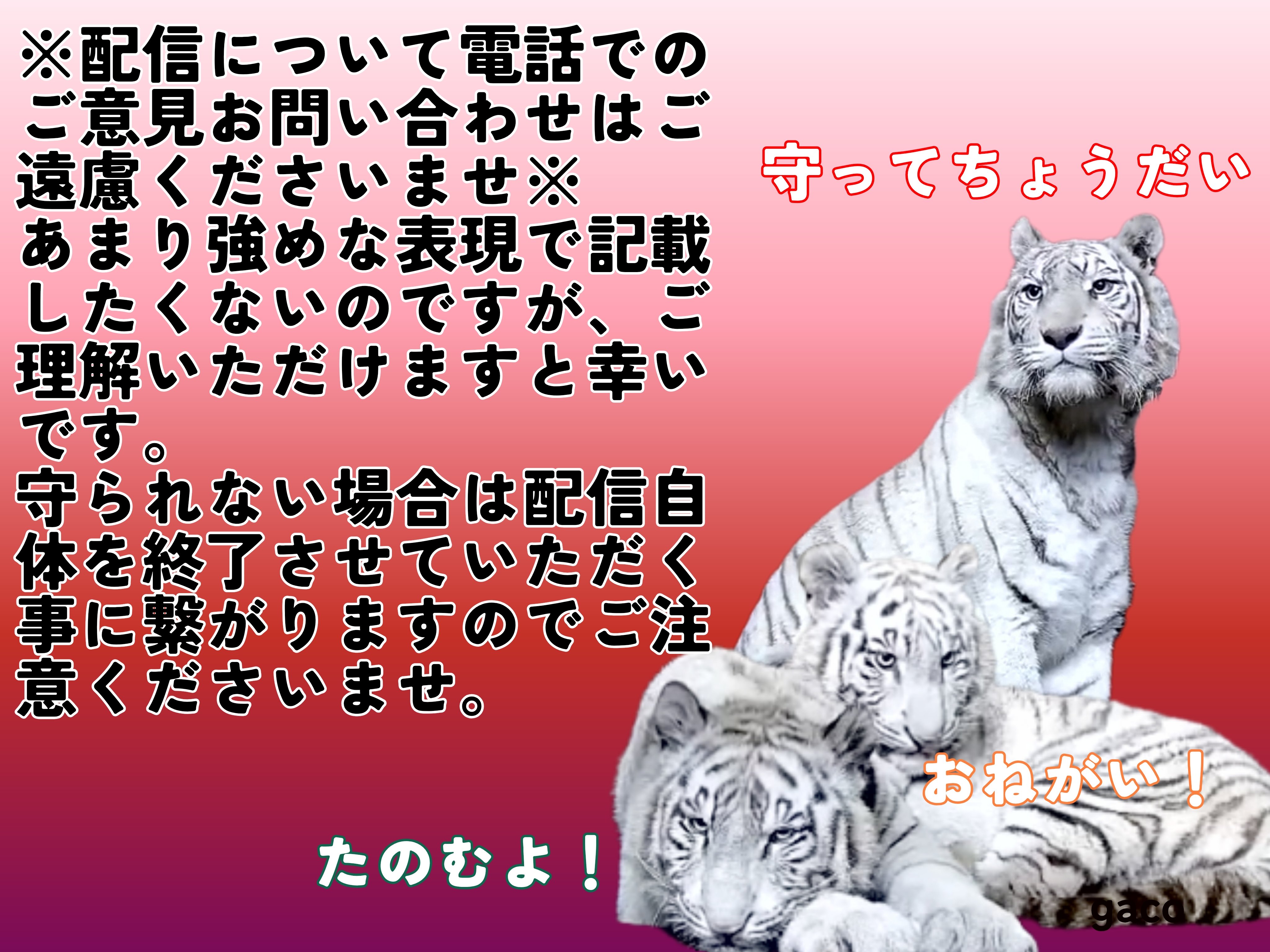 e♡♡♡ カモ トラ シロクマ 41FTFP8tn7L._AC_.jpg