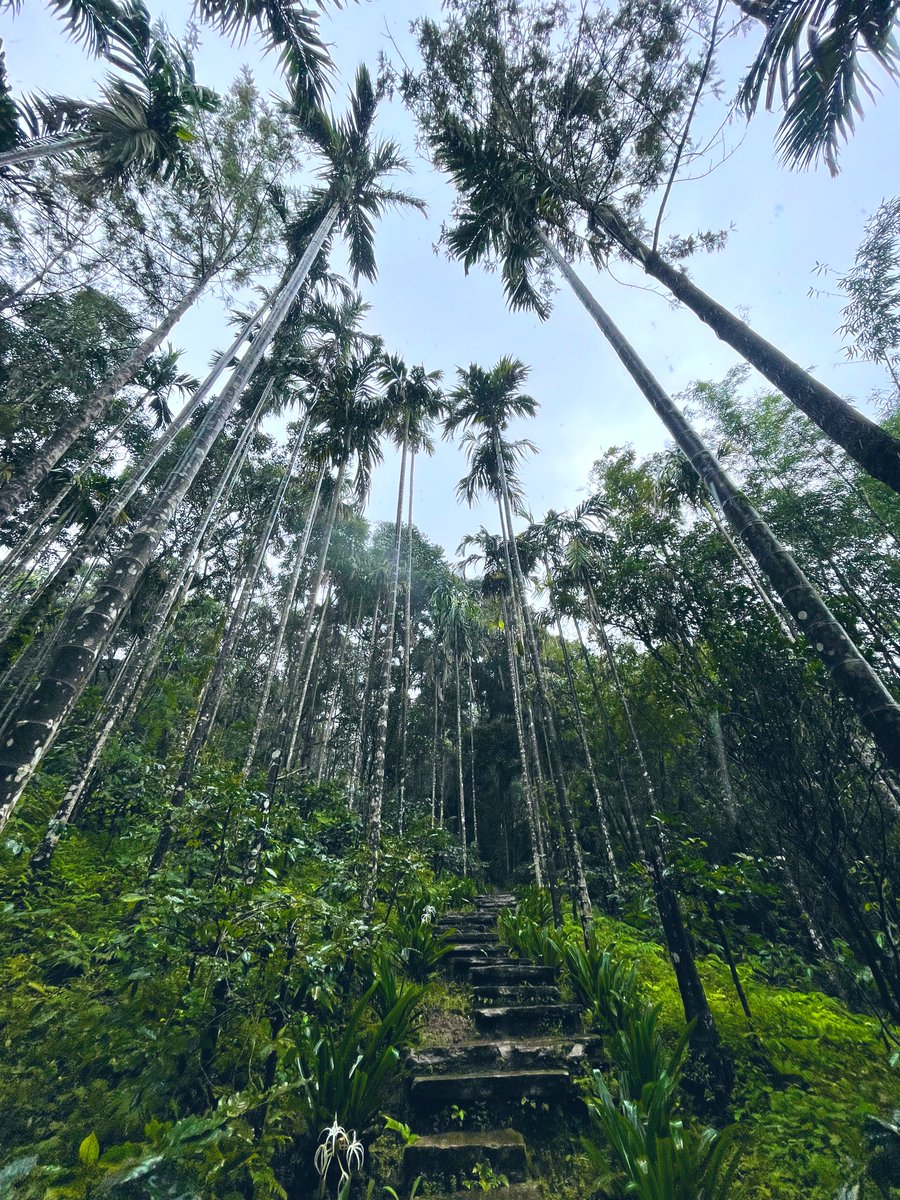 did you touch grass today anon? 💚 https://t.co/ecEOaKEVKy