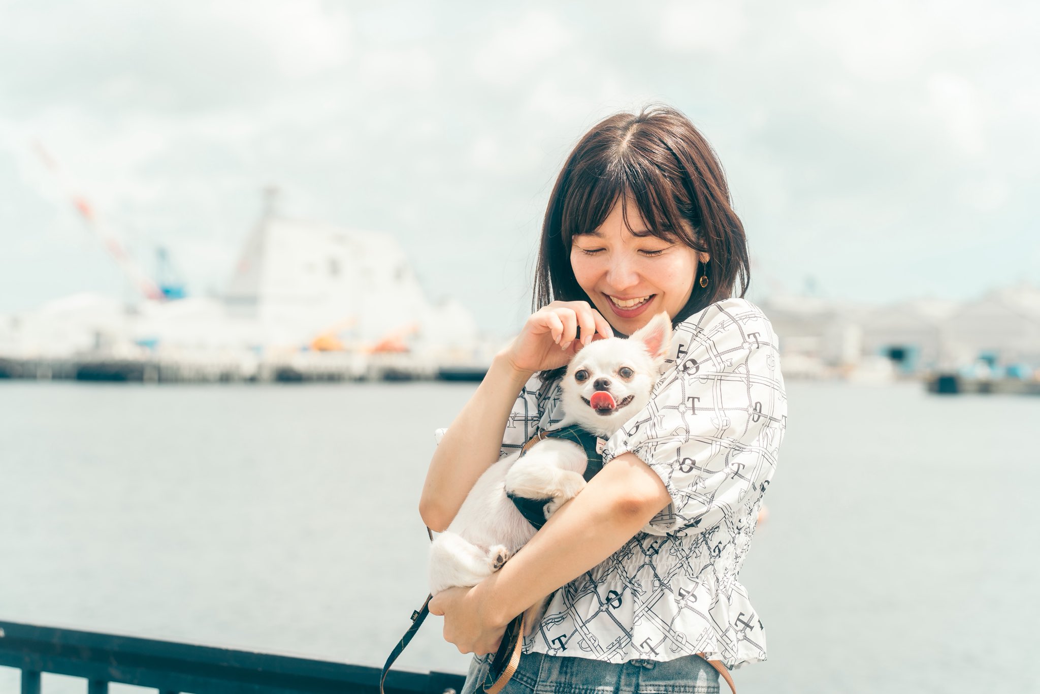 にゃこちゃん にゃんにゃんฅ^•ω•^ฅ #jk #sjk