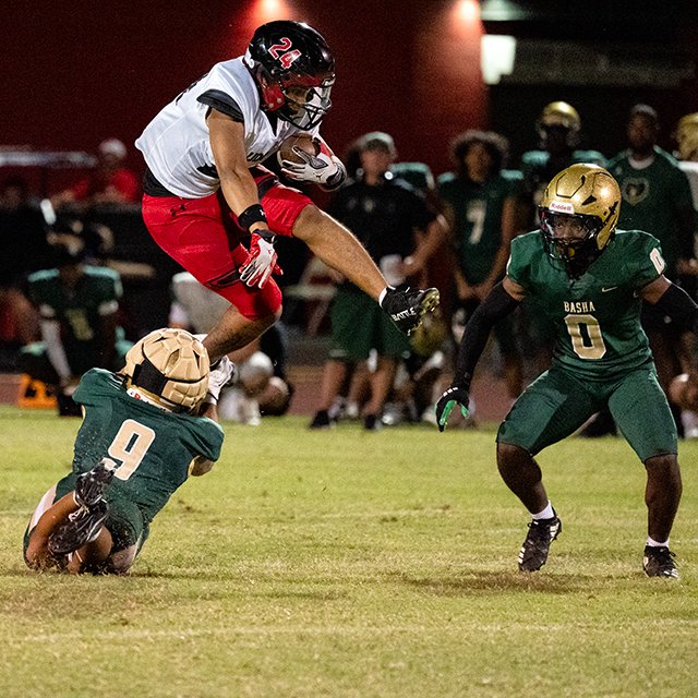 Picture Lady Photography LLC tweet media