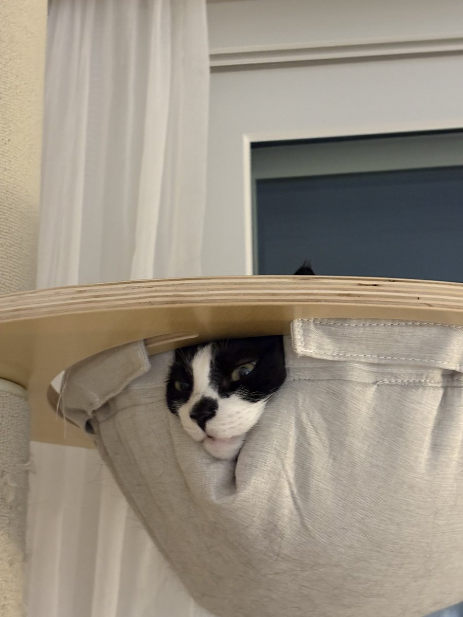 네가 왜 이러고 있는지 나는 항상 궁금해…