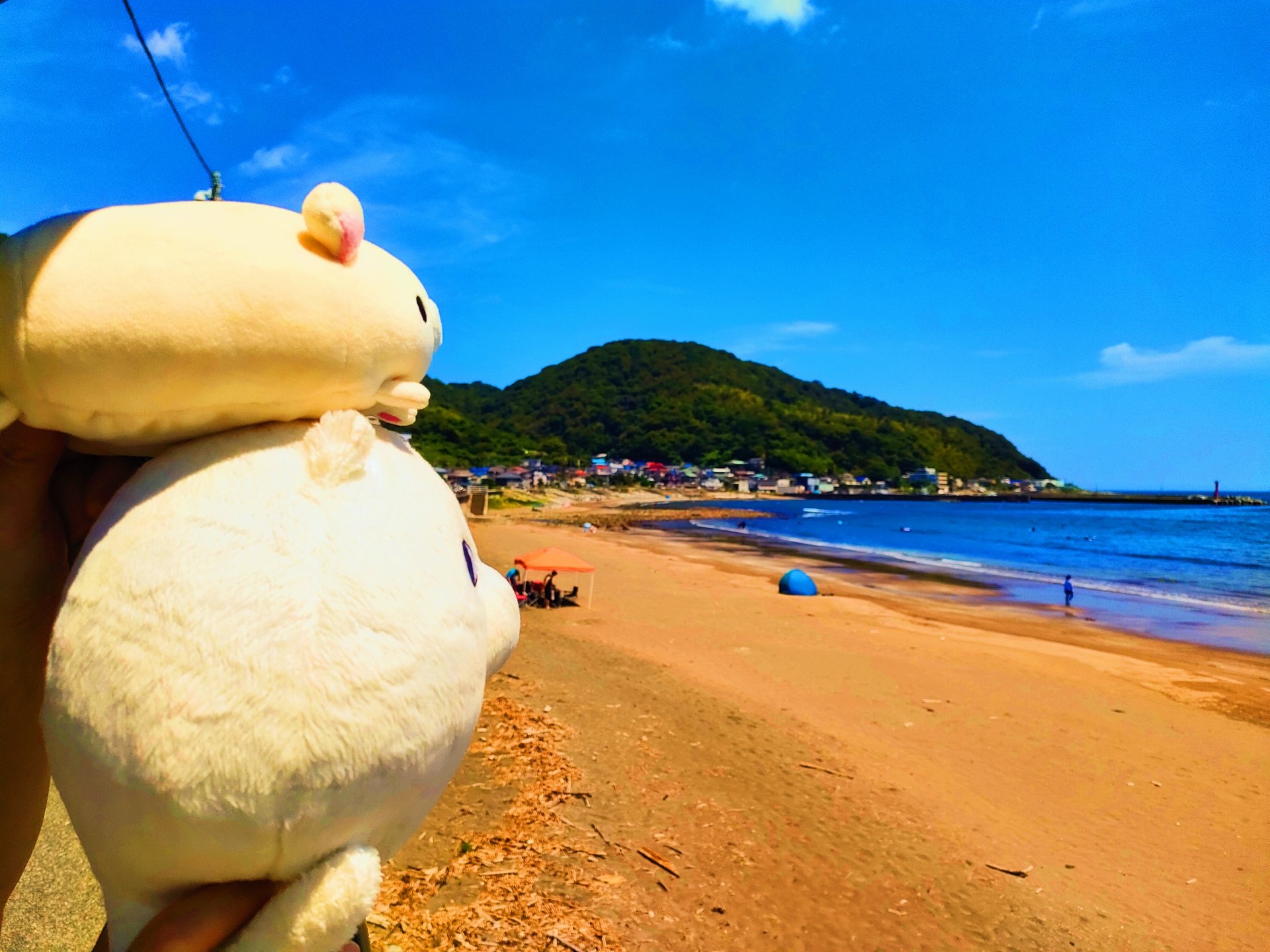 たまにこうじ【雪】8/30TÀNO SEA🌙町田プレイハウス on X: 