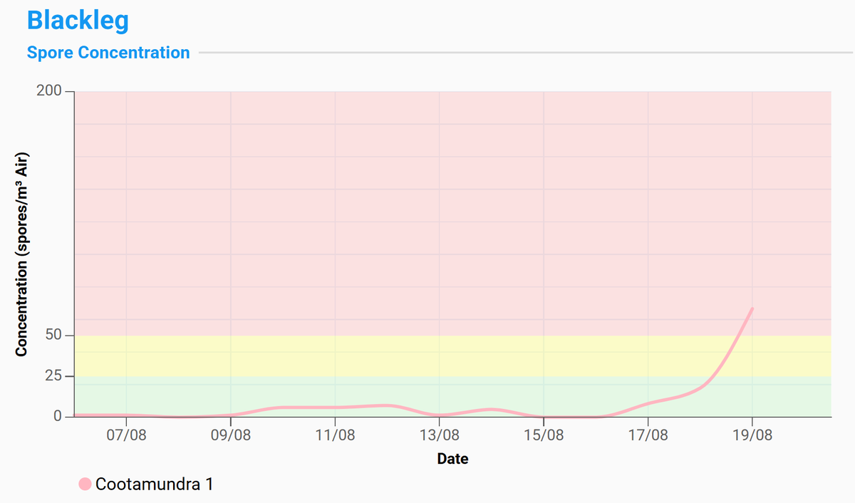 BioScout tweet media