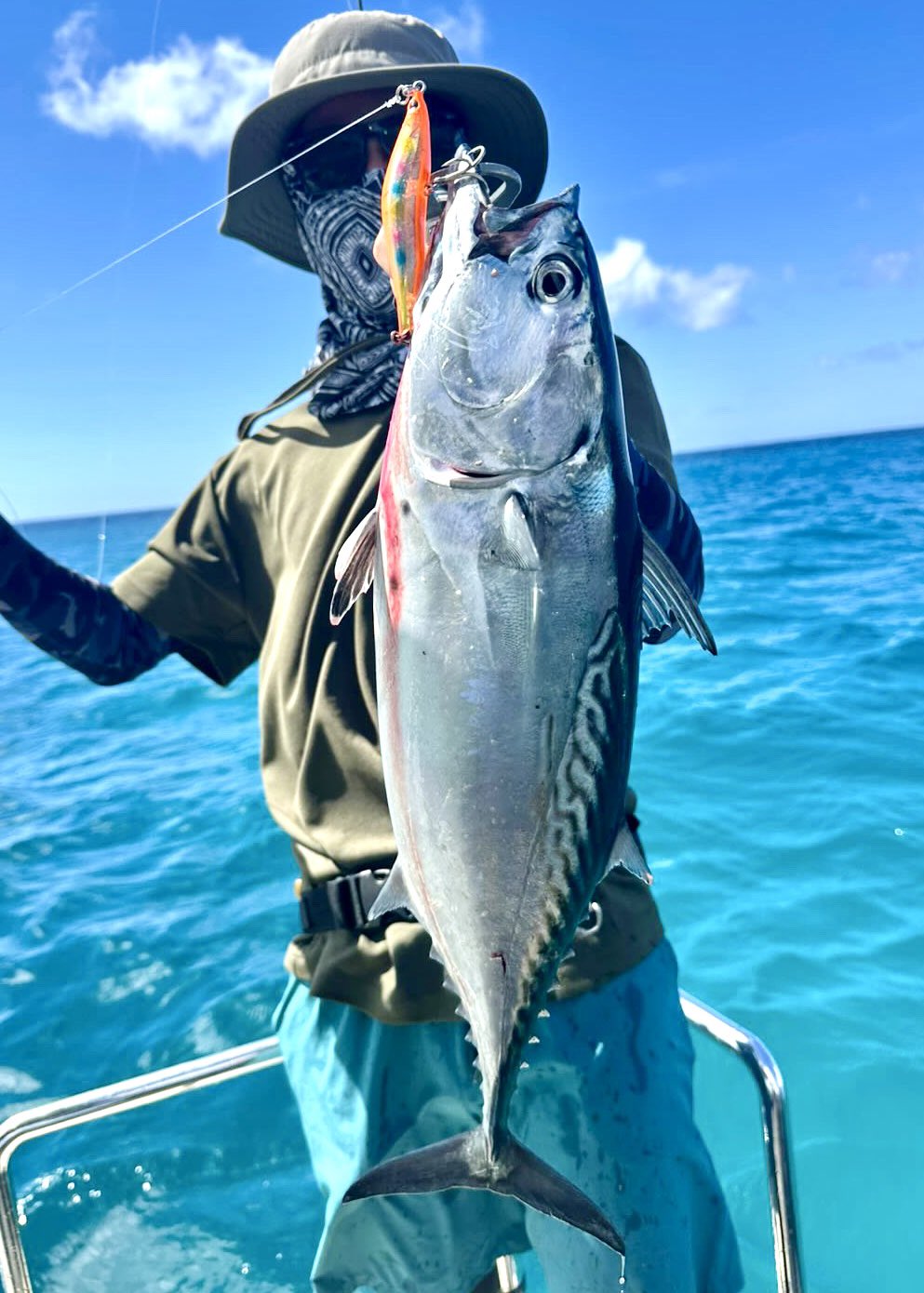 Y*d様 早いもの勝ち❗️ビッグベイトまとめ売り❗️ BASSDAY.JAPAN (@BassdayJ) / X