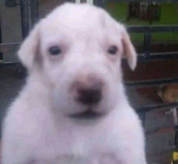 eu confesso... estou negligenciando física