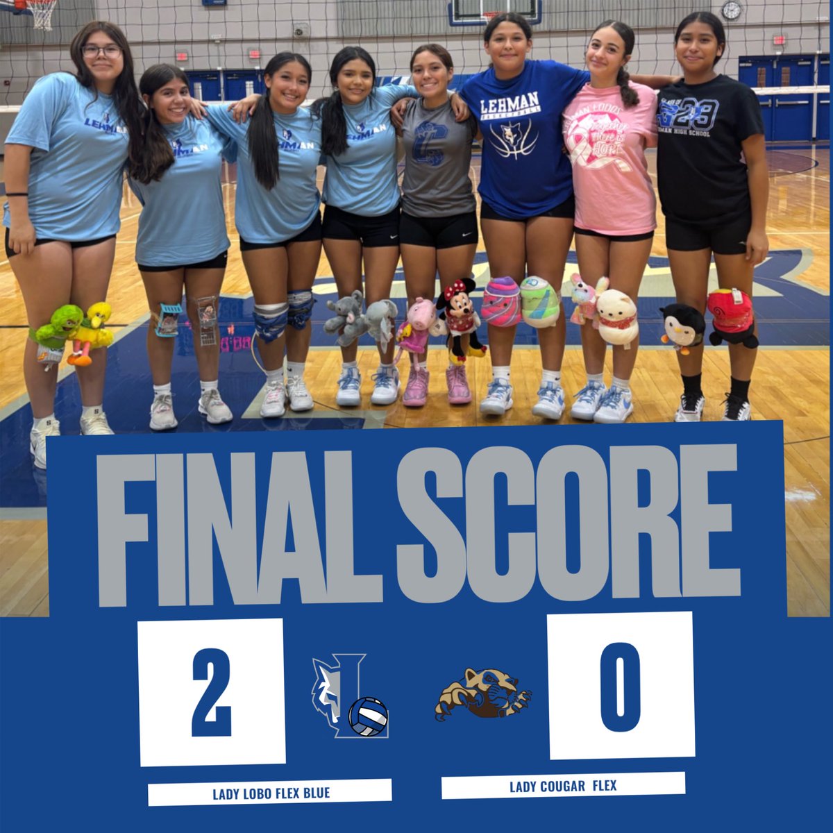 Lady Lobo Volleyball tweet media