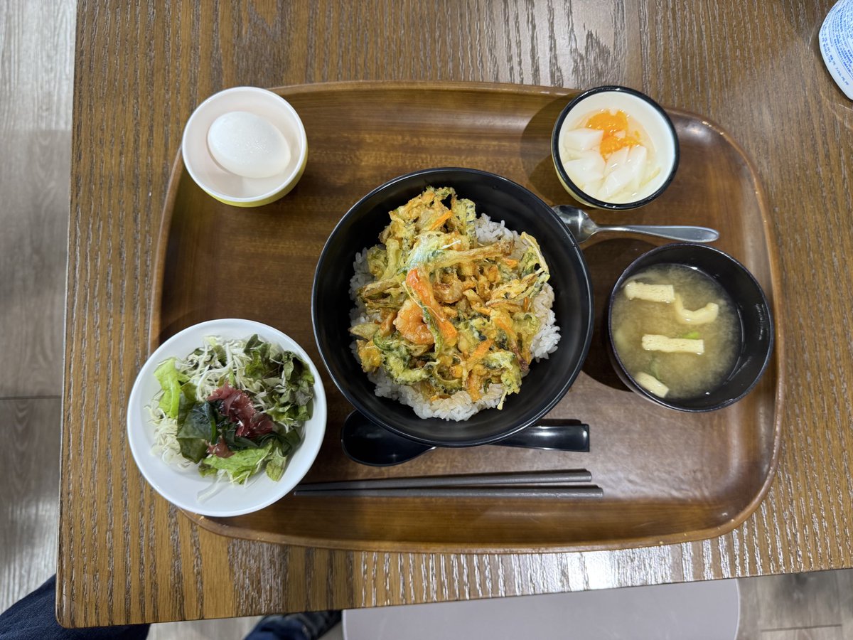 海老とゴーヤのかき揚げ丼、サラダ、味噌汁、温玉、杏仁豆腐。
#お昼ごはん