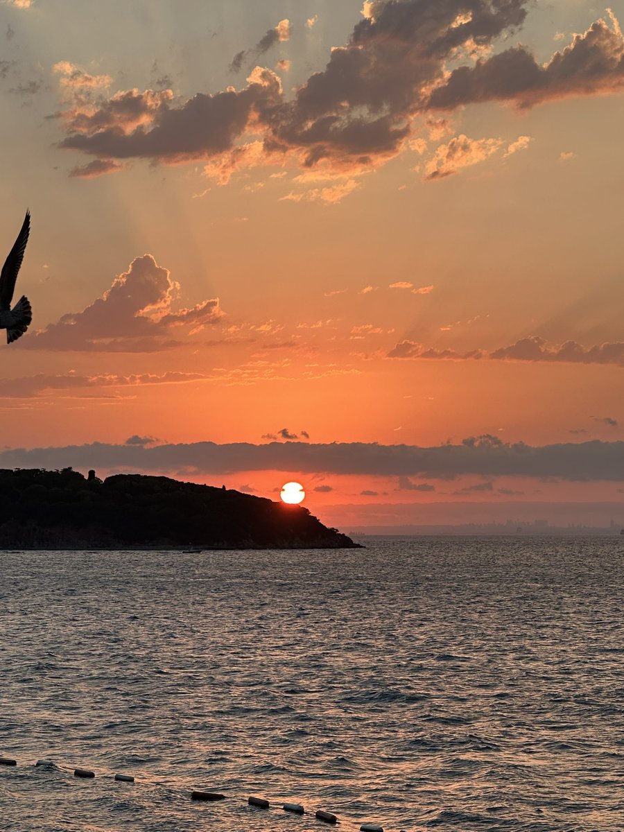 YAŞANTI ÜRETME LABORATUVARI OLARAK ÜNİVERSİTE

Yüksek Öğrenim (de tüm eğitim kurumları gibi) yaşamla ilişkili fikir ve zihin deneylerinin yapıldığı, gerekirse “Hepinizden farklı düşünüyorum çünkü…” demenin öğrenildiği “yaşantılar laboratuvarıdır”. 

Bu yaşantılar laboratuvarının