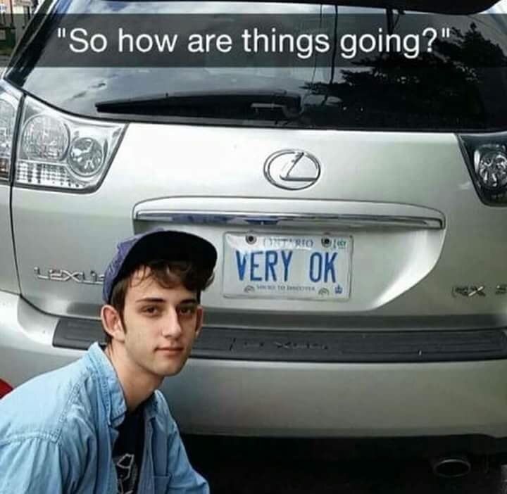 WholesomeMemes (@wholesomememe) on Twitter photo 