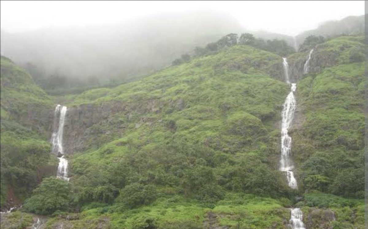 Athreya Shetty 🇮🇳 (@shetty_athreya) on Twitter photo As had warned, #ghats got absolutely thrashed yesterday! Mind boggling 24hr figures 🤯😵
#Tamhini 575 mm (Highest since 1994)
Bhira 568
#Matheran 438
Shirgaon 430
Davdi 419
#Lonavala 418
#Bhimashankar 386
Dongerwadi 373
Ambona 338
Koyna 316
Khopoli 305
#Mahabaleshwar 301 As had warned, #ghats got absolutely thrashed yesterday! Mind boggling 24hr figures 🤯😵
#Tamhini 575 mm (Highest since 1994)
Bhira 568
#Matheran 438
Shirgaon 430
Davdi 419
#Lonavala 418
#Bhimashankar 386
Dongerwadi 373
Ambona 338
Koyna 316
Khopoli 305
#Mahabaleshwar 301