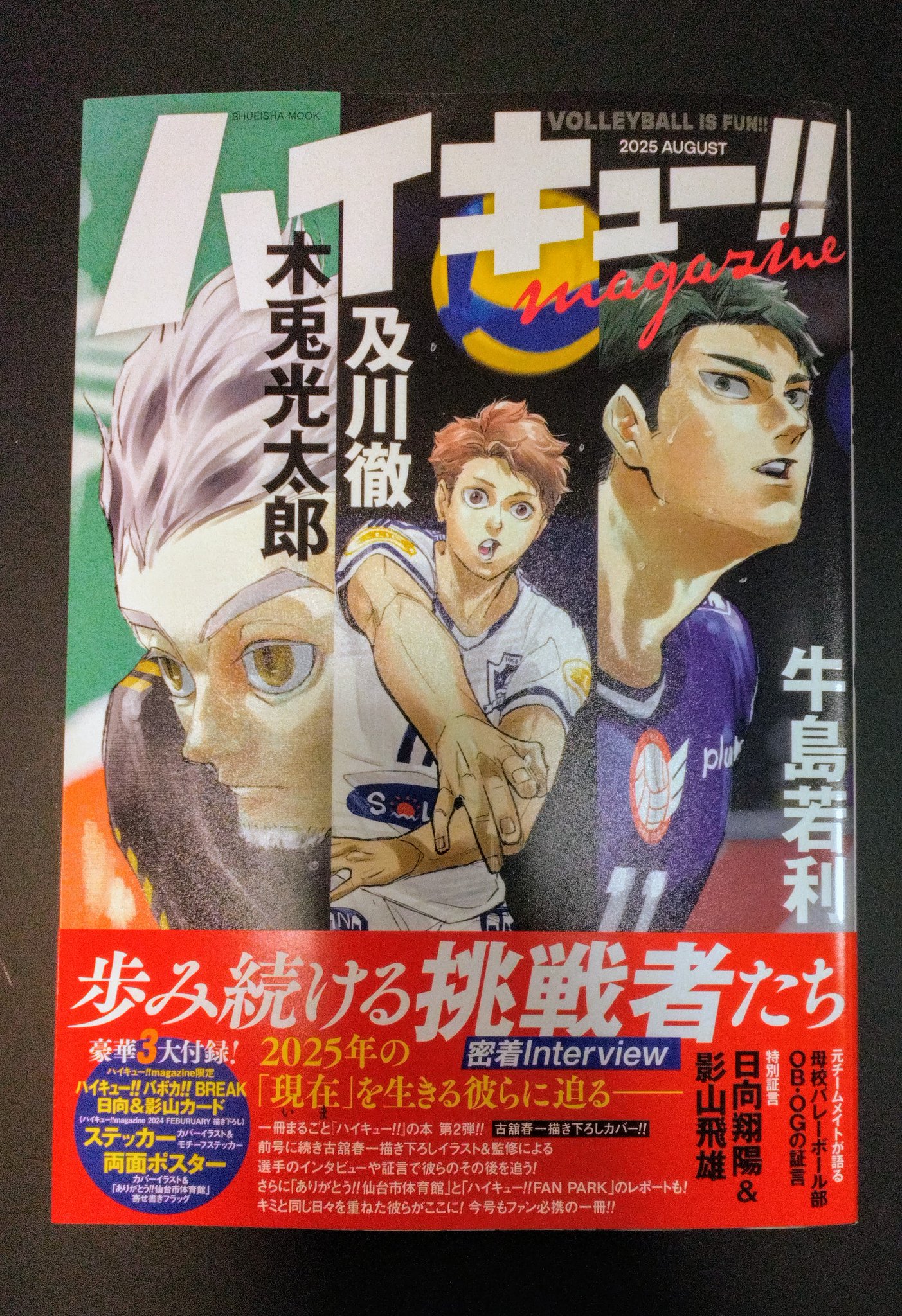 ハイキュー!!  漫画 値下げ中 ハイキュー!! 漫画 値下げ中 少年漫画 - 少年漫画